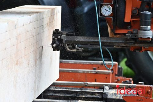 25 jaar Onderholt - deel 3 (28-06-2025)