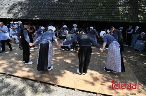 Folklore Festival bij de Wendezoele (20-08-2023)