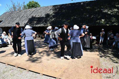 Folklore Festival bij de Wendezoele (20-08-2023)