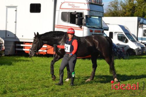 Eventing in Barchem - deel 1 (22-10-2023)