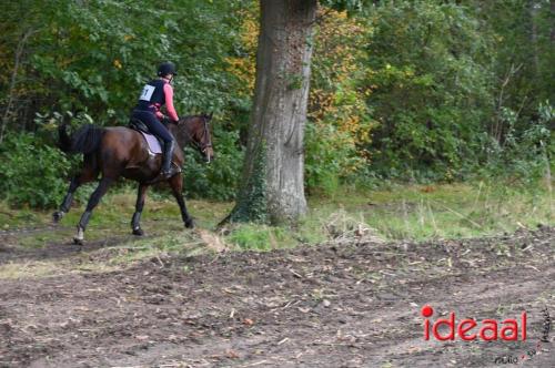 Eventing in Barchem - deel 2 (22-10-2023)