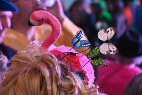 Carnaval in Sneppendorp - deel 2 (15-02-2026)