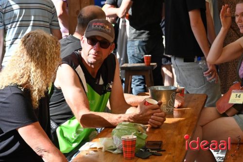 28e HAMAC run in Harfsen - deel 1 (21-06-2025)