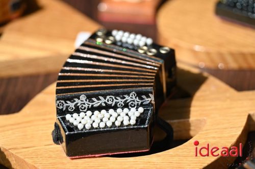 Harmonica treffen Heksenlaak - deel 2 (24-08-2025)