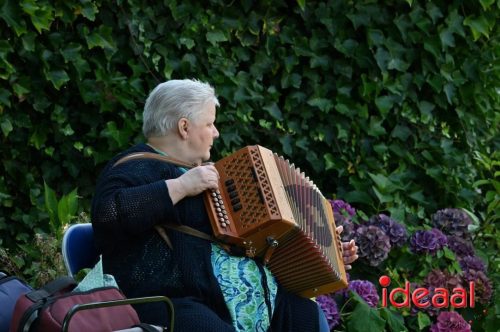 Harmonica treffen Heksenlaak - deel 2 (24-08-2025)