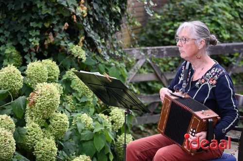 Harmonica treffen Heksenlaak - deel 2 (24-08-2025)