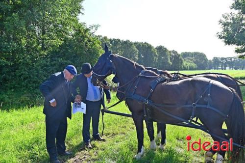 Kastelenrit Vorden - deel 1 (13-08-2023)