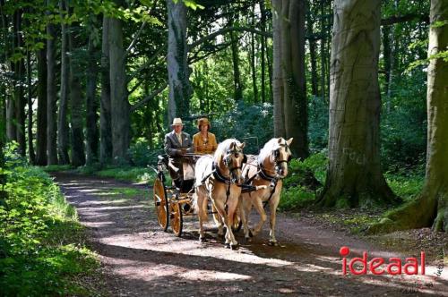 Kastelenrit Vorden - deel 1 (13-08-2023)