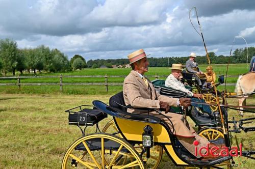 Kastelenrit Vorden - deel 3 (13-08-2023)