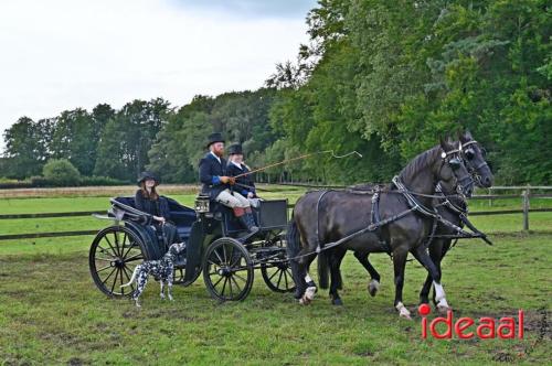 Kastelenrit Vorden - deel 3 (13-08-2023)