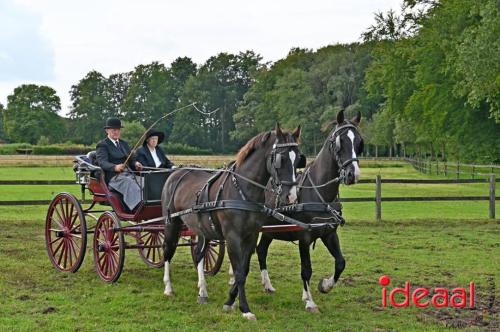 Kastelenrit Vorden - deel 3 (13-08-2023)