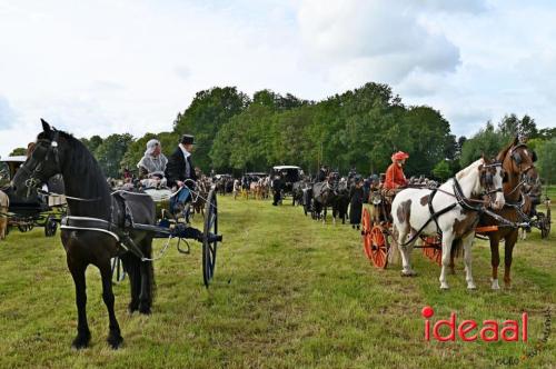 Kastelenrit Vorden - deel 3 (13-08-2023)