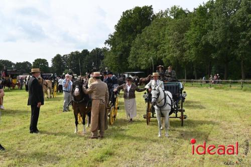 Kastelenrit Vorden - deel 3 (13-08-2023)