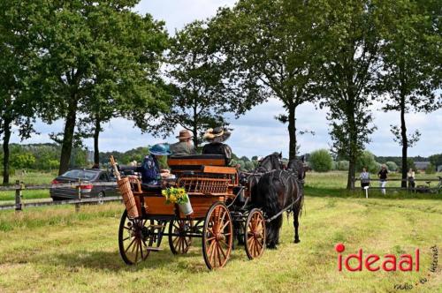 Kastelenrit Vorden - deel 3 (13-08-2023)