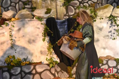 Ronja de Roversdochter - deel 2 (09-11-2025)