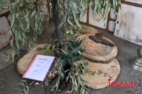 Ronja de Roversdochter - deel 2 (09-11-2025)