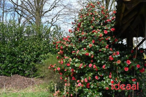 Kunstroute Lochem (05-04-2026)