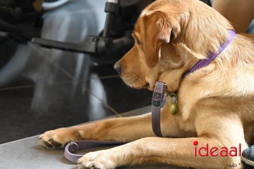 Uitvoering Larense Accordeon Vereniging (01-03-2026)