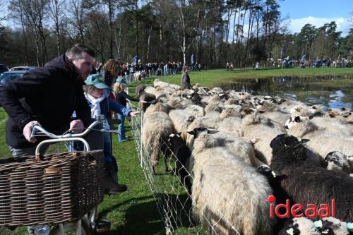 Lammetjesdag De Belhamel in Lochem (23-03-2024)