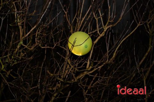 Lampionnenoptocht Drempt (31-01-2026)