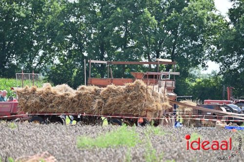 Oogstdag in Laren - deel 1 (03-08-2025)
