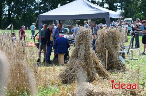 Oogstdag in Laren - deel 1 (03-08-2025)