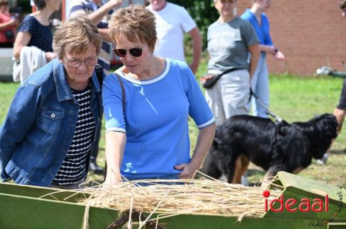 Oogstdag in Laren - deel 1 (03-08-2025)