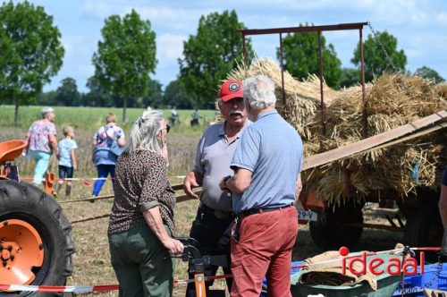 Oogstdag in Laren - deel 1 (03-08-2025)