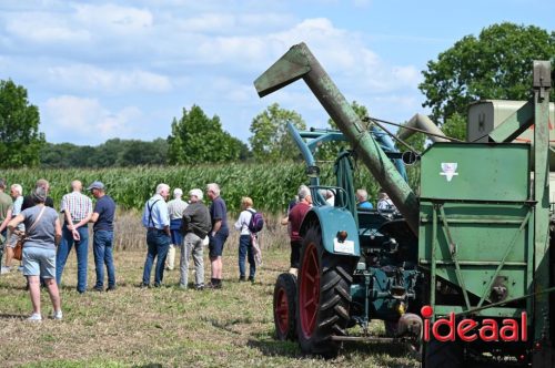 Oogstdag in Laren - deel 1 (03-08-2025)