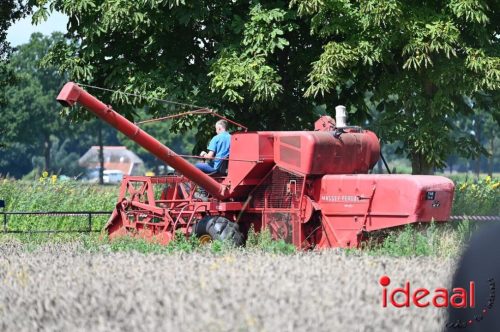 Oogstdag in Laren - deel 1 (03-08-2025)