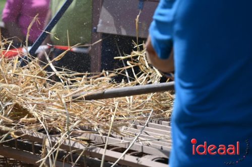 Oogstdag in Laren - deel 1 (03-08-2025)
