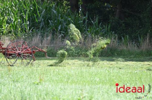 Oogstdag in Laren - deel 1 (03-08-2025)