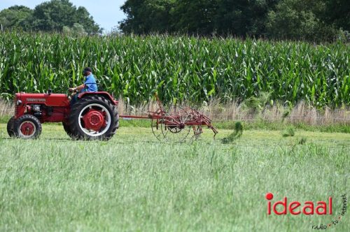 Oogstdag in Laren - deel 1 (03-08-2025)