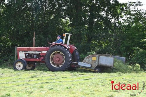 Oogstdag in Laren - deel 1 (03-08-2025)