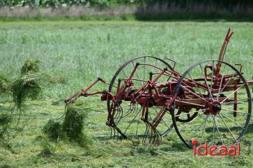 Oogstdag in Laren - deel 1 (03-08-2025)