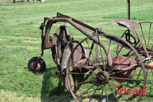 Oogstdag in Laren - deel 1 (03-08-2025)