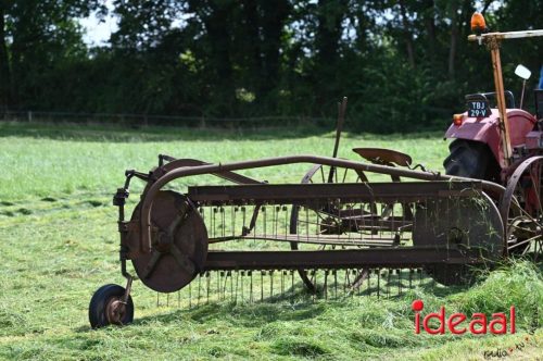 Oogstdag in Laren - deel 1 (03-08-2025)