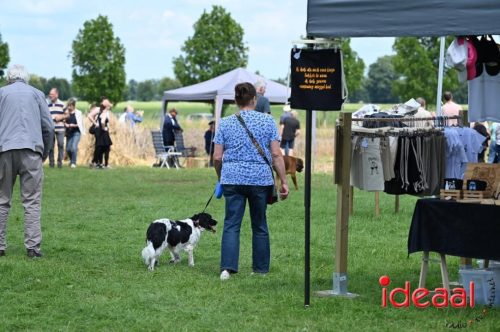 Oogstdag in Laren - deel 2 (03-08-2025)