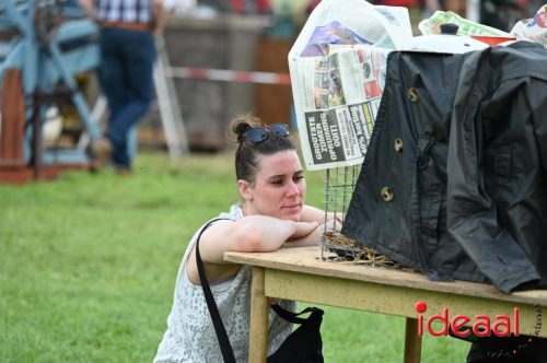 Oogstdag in Laren - deel 2 (03-08-2025)