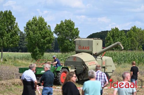 Oogstdag in Laren - deel 2 (03-08-2025)