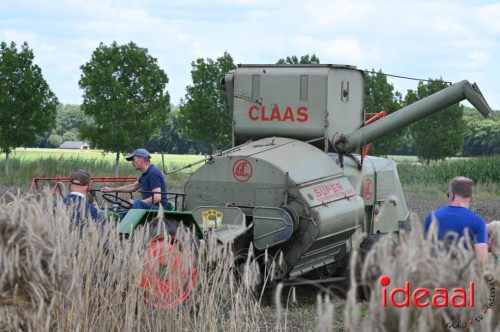Oogstdag in Laren - deel 2 (03-08-2025)