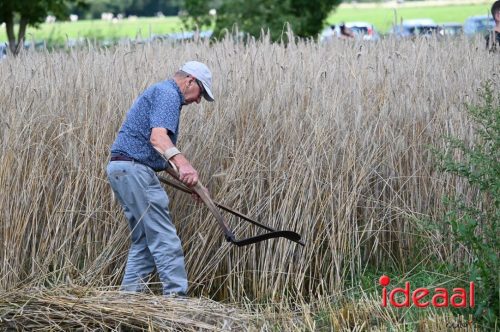 Oogstdag in Laren - deel 2 (03-08-2025)
