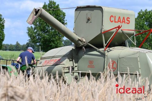 Oogstdag in Laren - deel 2 (03-08-2025)