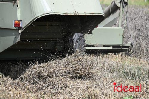 Oogstdag in Laren - deel 2 (03-08-2025)