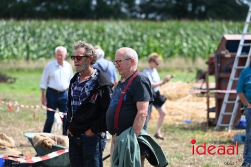 Oogstdag in Laren - deel 2 (03-08-2025)