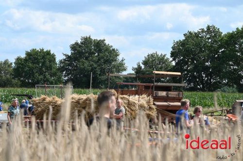 Oogstdag in Laren - deel 2 (03-08-2025)