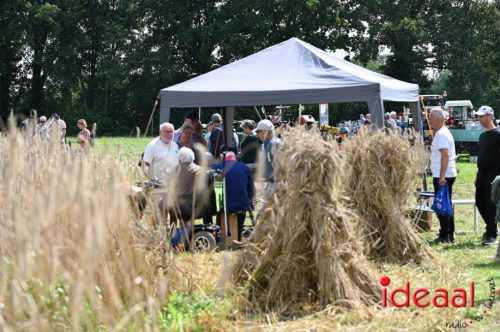 Oogstdag in Laren - deel 2 (03-08-2025)