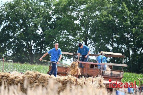 Oogstdag in Laren - deel 2 (03-08-2025)