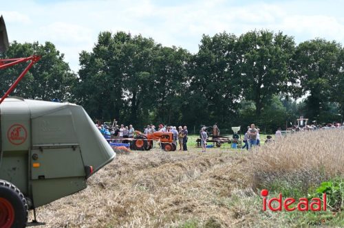 Oogstdag in Laren - deel 2 (03-08-2025)