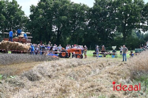 Oogstdag in Laren - deel 2 (03-08-2025)